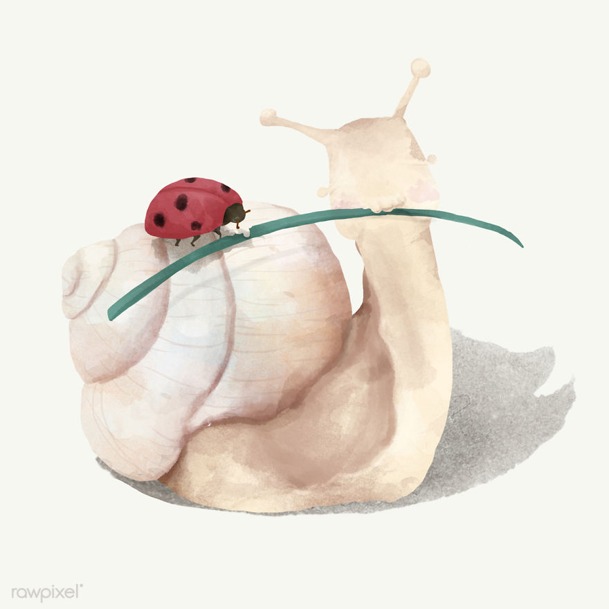 I Created Digital Drawings Of Adorable Animals And Made The Collection Free For One Week I Created Digital Drawings Of Adorable Animals And Made The Collection Free For One Week