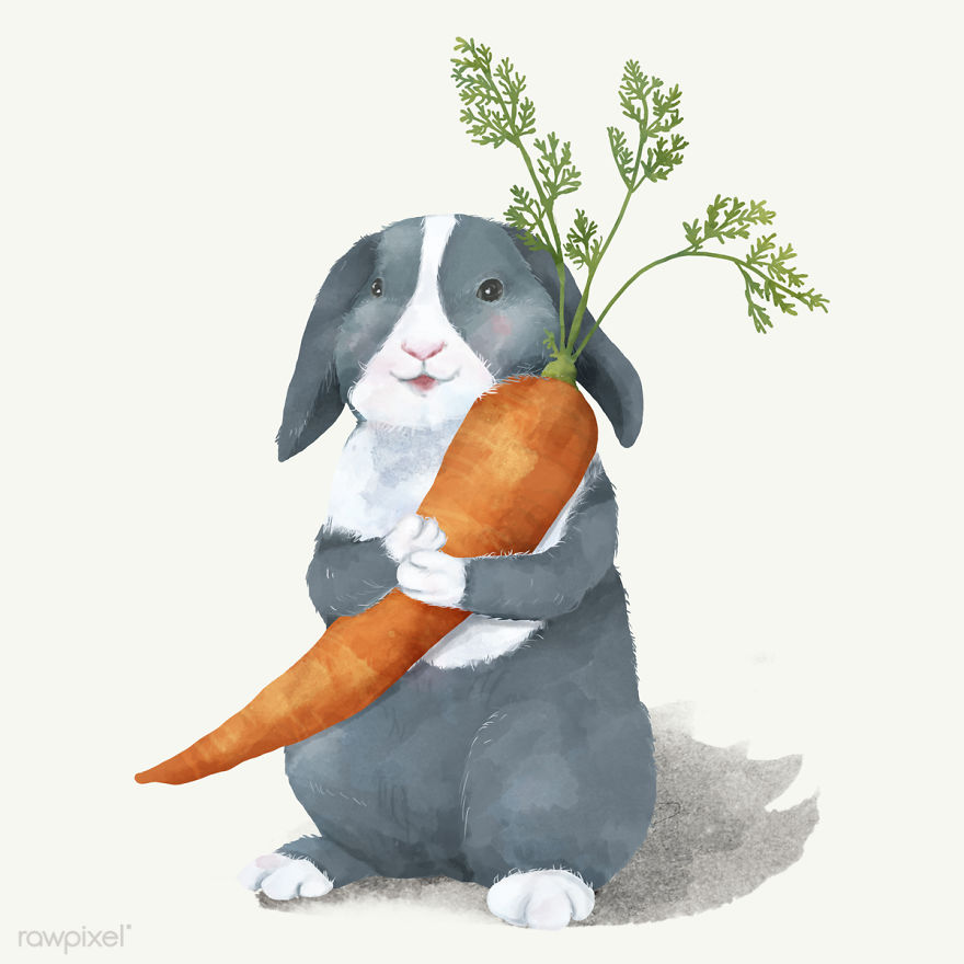 I Created Digital Drawings Of Adorable Animals And Made The Collection Free For One Week I Created Digital Drawings Of Adorable Animals And Made The Collection Free For One Week