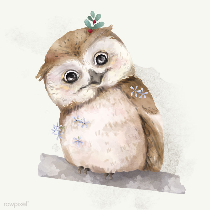 I Created Digital Drawings Of Adorable Animals And Made The Collection Free For One Week I Created Digital Drawings Of Adorable Animals And Made The Collection Free For One Week