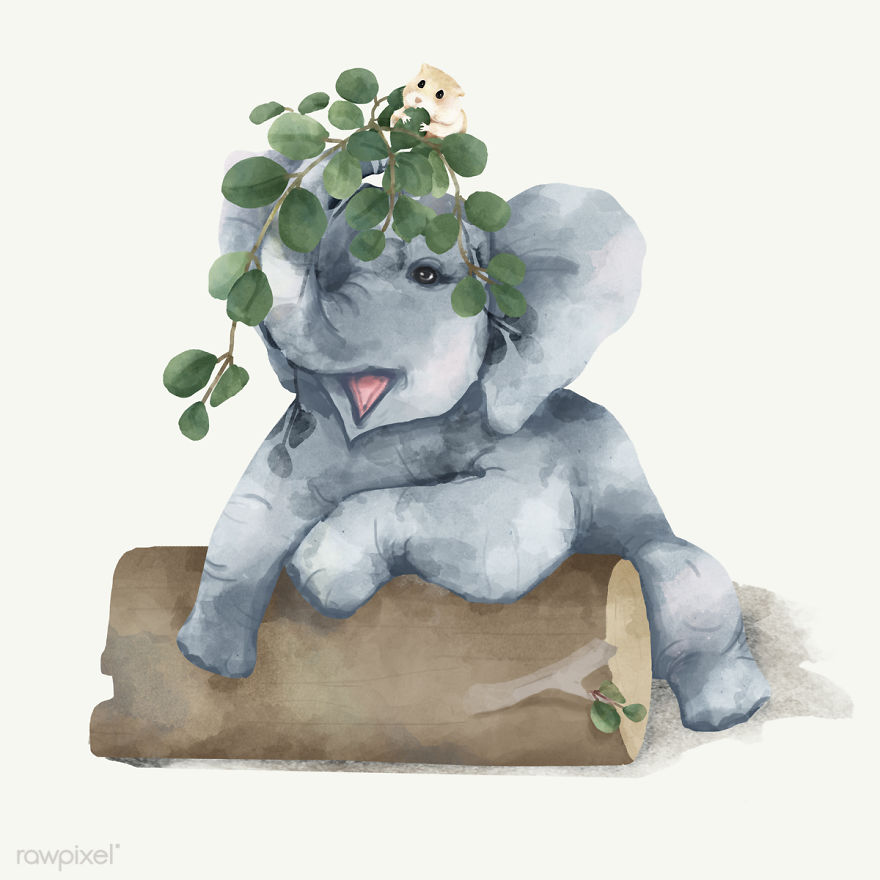 I Created Digital Drawings Of Adorable Animals And Made The Collection Free For One Week I Created Digital Drawings Of Adorable Animals And Made The Collection Free For One Week