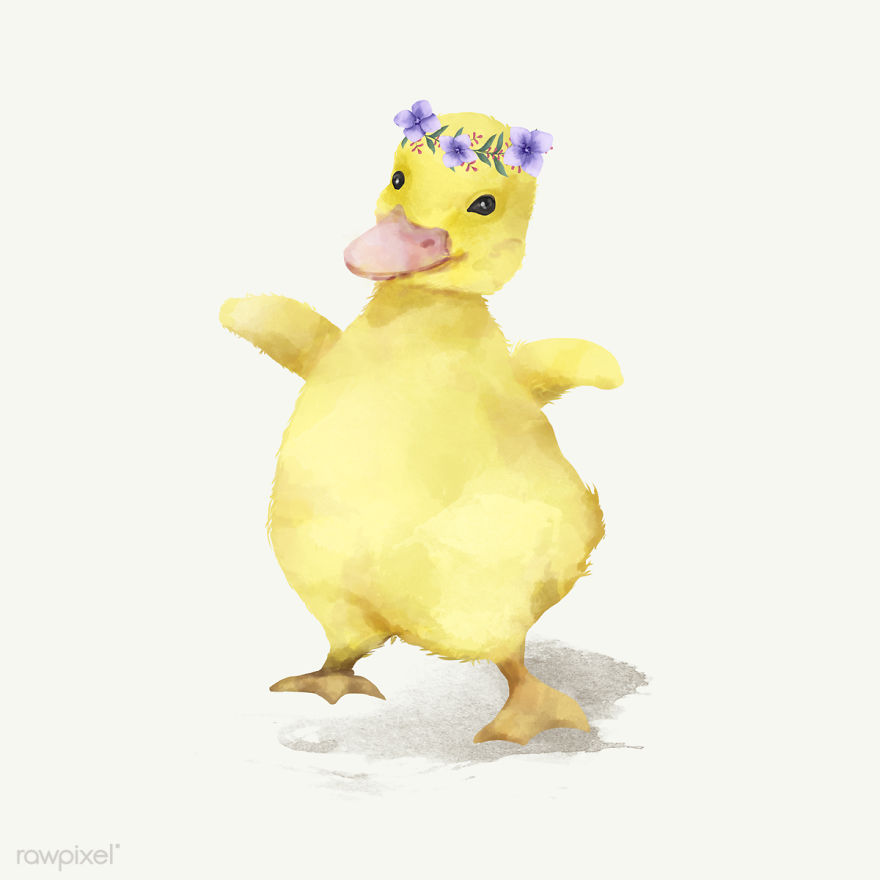 I Created Digital Drawings Of Adorable Animals And Made The Collection Free For One Week I Created Digital Drawings Of Adorable Animals And Made The Collection Free For One Week