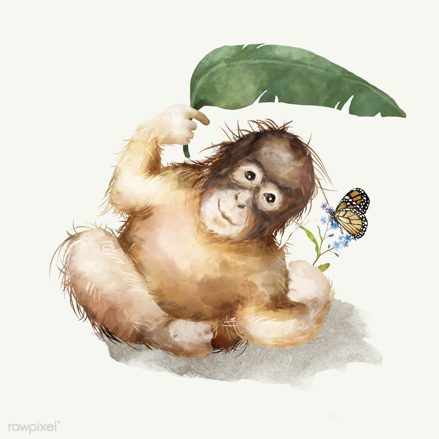 I Created Digital Drawings Of Adorable Animals And Made The Collection Free For One Week I Created Digital Drawings Of Adorable Animals And Made The Collection Free For One Week