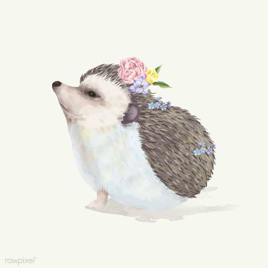 I Created Digital Drawings Of Adorable Animals And Made The Collection Free For One Week I Created Digital Drawings Of Adorable Animals And Made The Collection Free For One Week