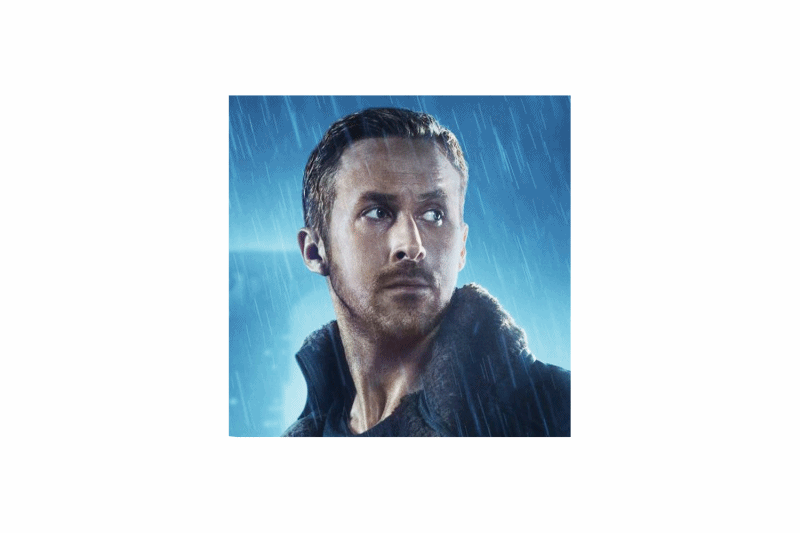 Lineart Portrait Illustrations Lineart Portrait Illustrations