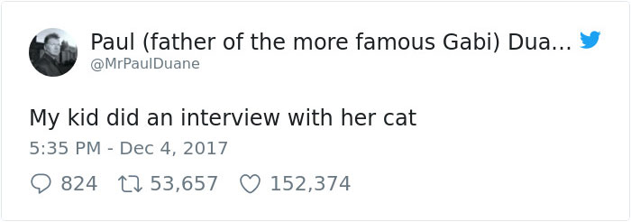 Little Girl Did An Interview With Her Cat And Someone Suggested It Should Be Illustrated, So We Did Little Girl Did An Interview With Her Cat And Someone Suggested It Should Be Illustrated, So We Did