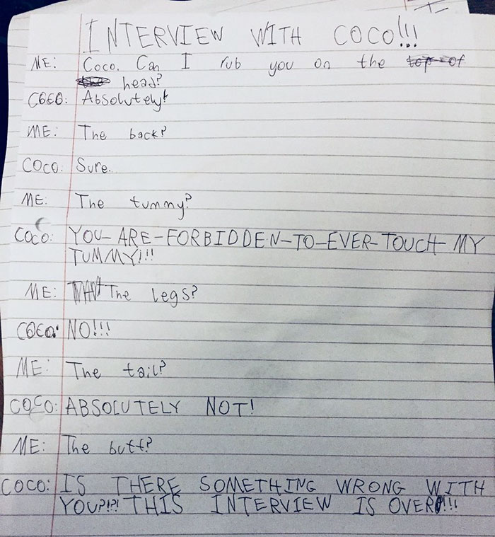 Little Girl Did An Interview With Her Cat And Someone Suggested It Should Be Illustrated, So We Did Little Girl Did An Interview With Her Cat And Someone Suggested It Should Be Illustrated, So We Did