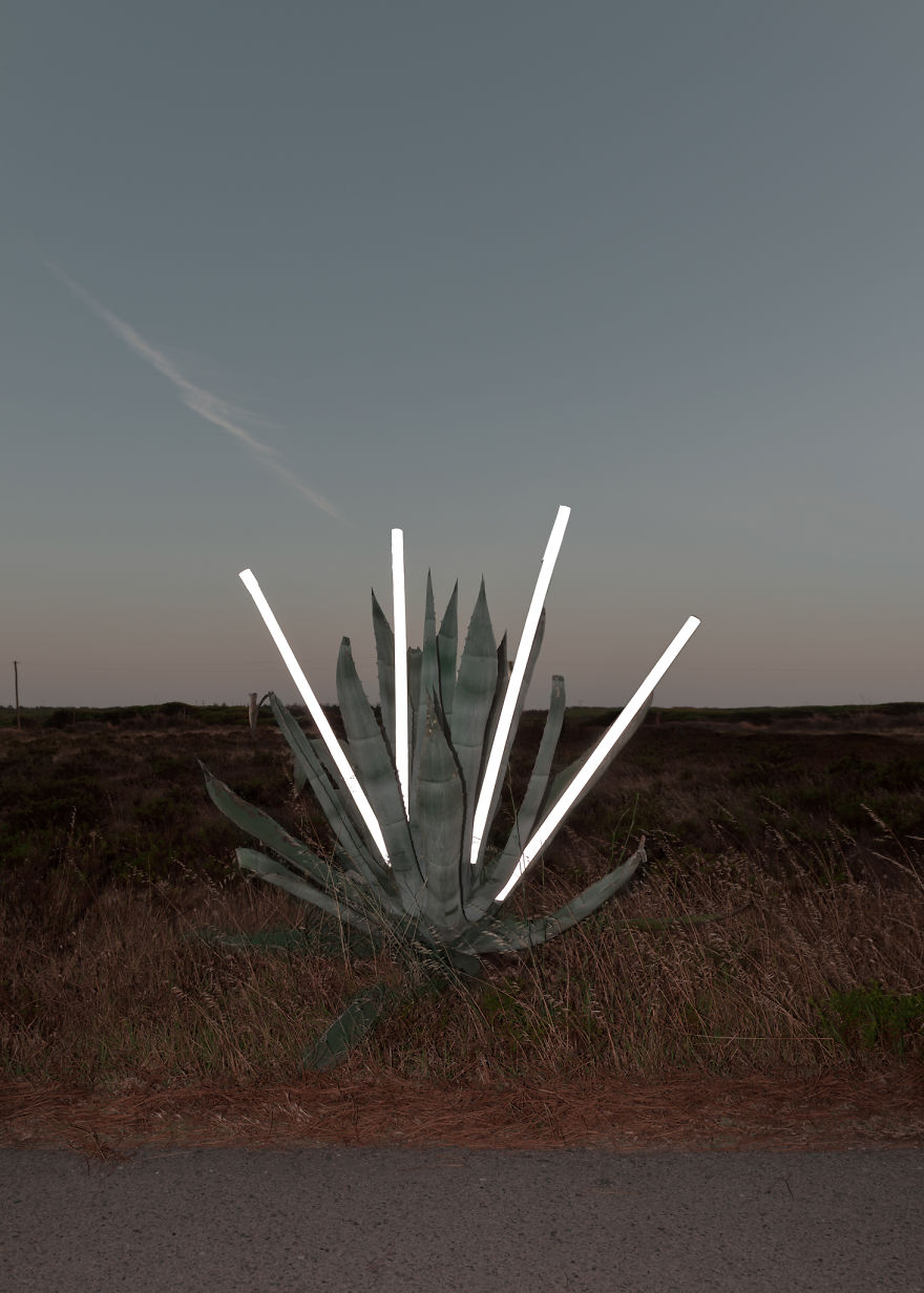 Memory Lapses Memory Lapses