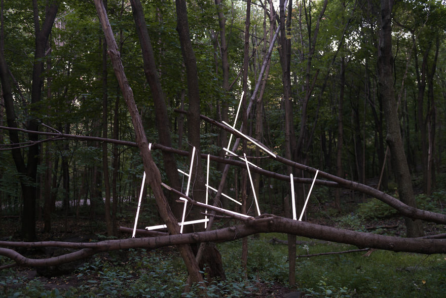 Memory Lapses Memory Lapses