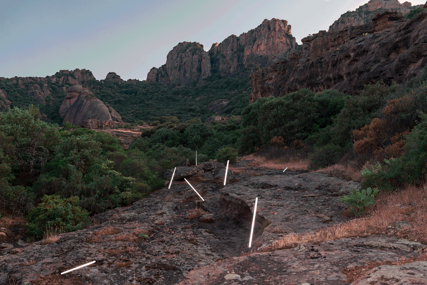 Memory Lapses Memory Lapses