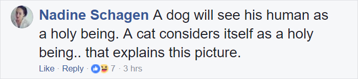 Everyone Can’t Stop Laughing After This Grumpy Cat Crashed A Nativity Scene In NYC Everyone Can’t Stop Laughing After This Grumpy Cat Crashed A Nativity Scene In NYC