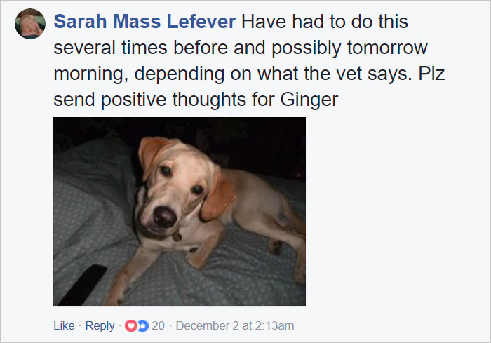 After Losing Her Dog, This Woman Created This Heartbreaking Comic, And It Will Make You Cry