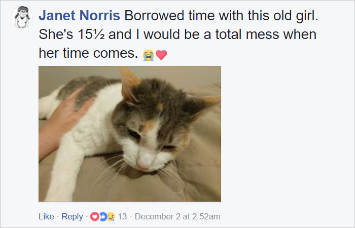 After Losing Her Dog, This Woman Created This Heartbreaking Comic, And It Will Make You Cry