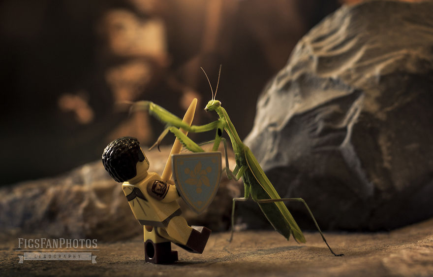 I Captured Funny Scenes With Animals And Lego Figures I Captured Funny Scenes With Animals And Lego Figures