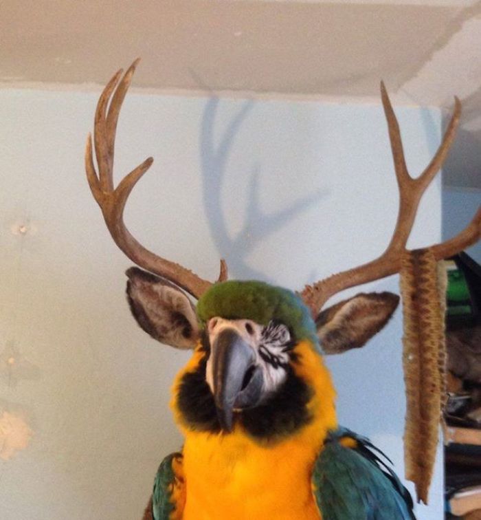 204 Perfectly Timed Photos That Will Mess With Your Head 204 Perfectly Timed Photos That Will Mess With Your Head