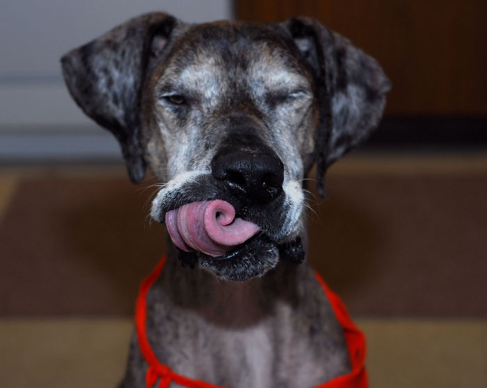 204 Perfectly Timed Photos That Will Mess With Your Head 204 Perfectly Timed Photos That Will Mess With Your Head