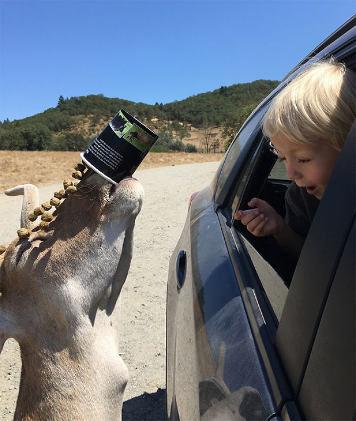 204 Perfectly Timed Photos That Will Mess With Your Head 204 Perfectly Timed Photos That Will Mess With Your Head