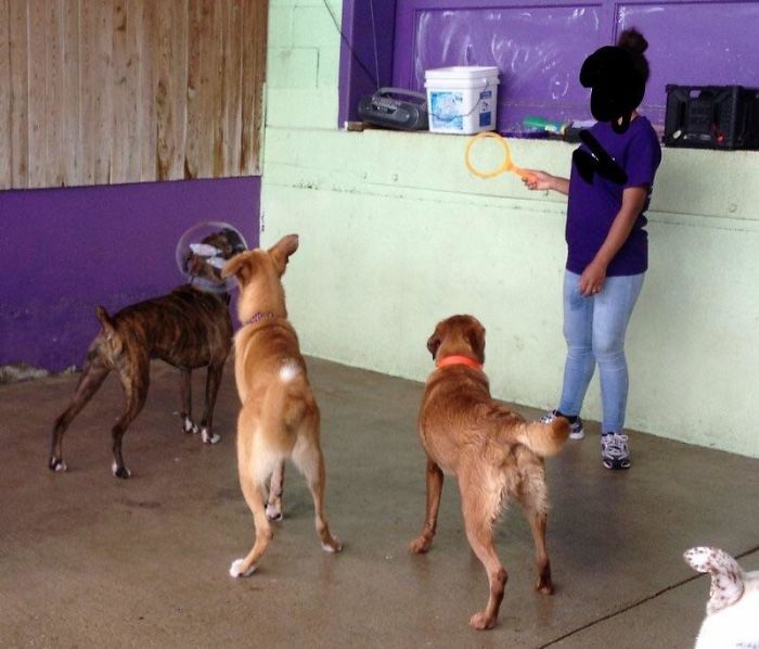 204 Perfectly Timed Photos That Will Mess With Your Head 204 Perfectly Timed Photos That Will Mess With Your Head