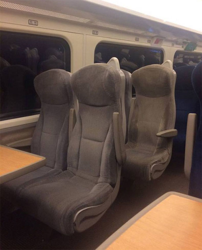 204 Perfectly Timed Photos That Will Mess With Your Head 204 Perfectly Timed Photos That Will Mess With Your Head