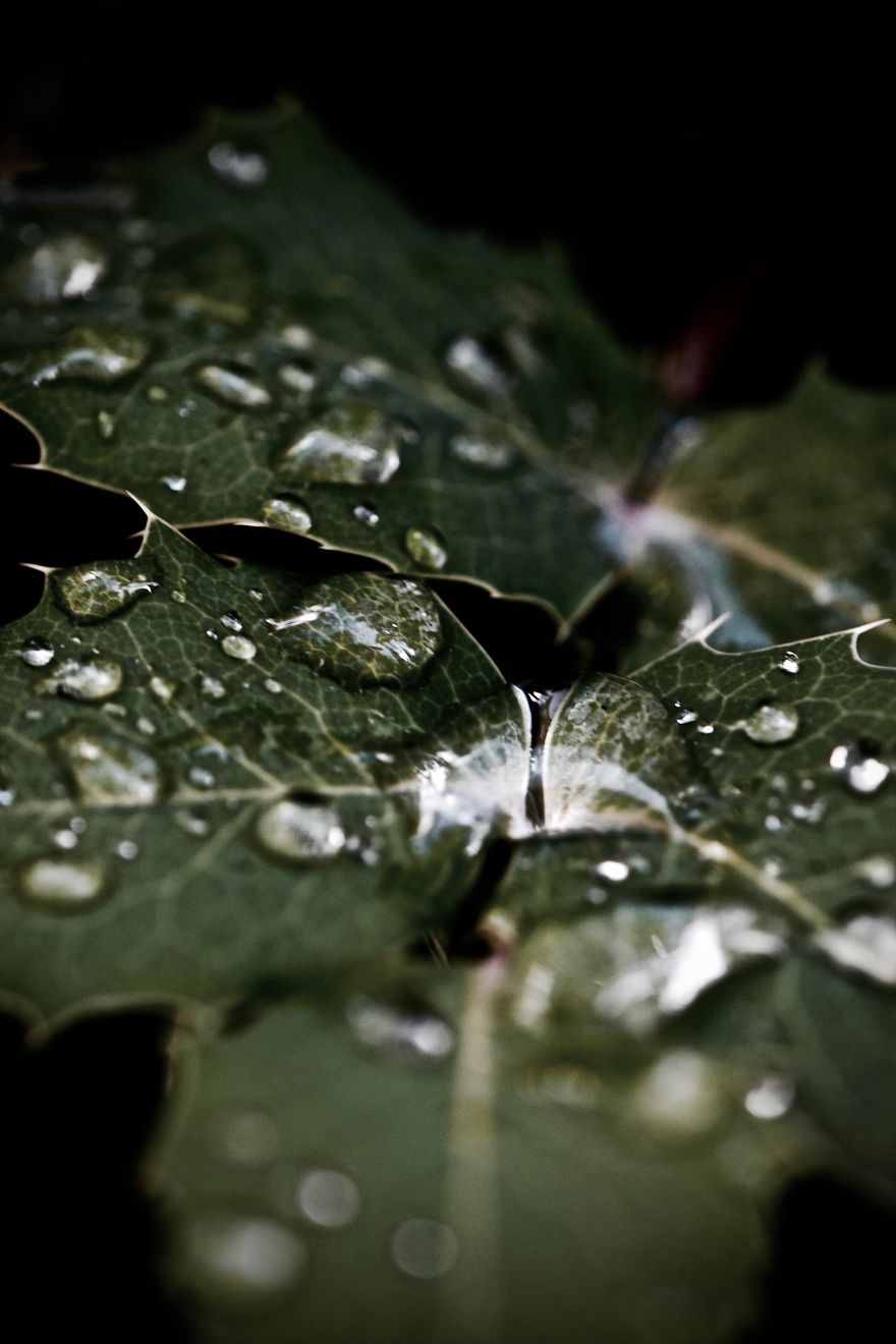 The Best Of My Photos After Hiking For Three Weeks In Canada The Best Of My Photos After Hiking For Three Weeks In Canada