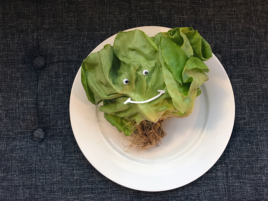 I Play With My Food By Adding Googly Eyes To Everything I Play With My Food By Adding Googly Eyes To Everything