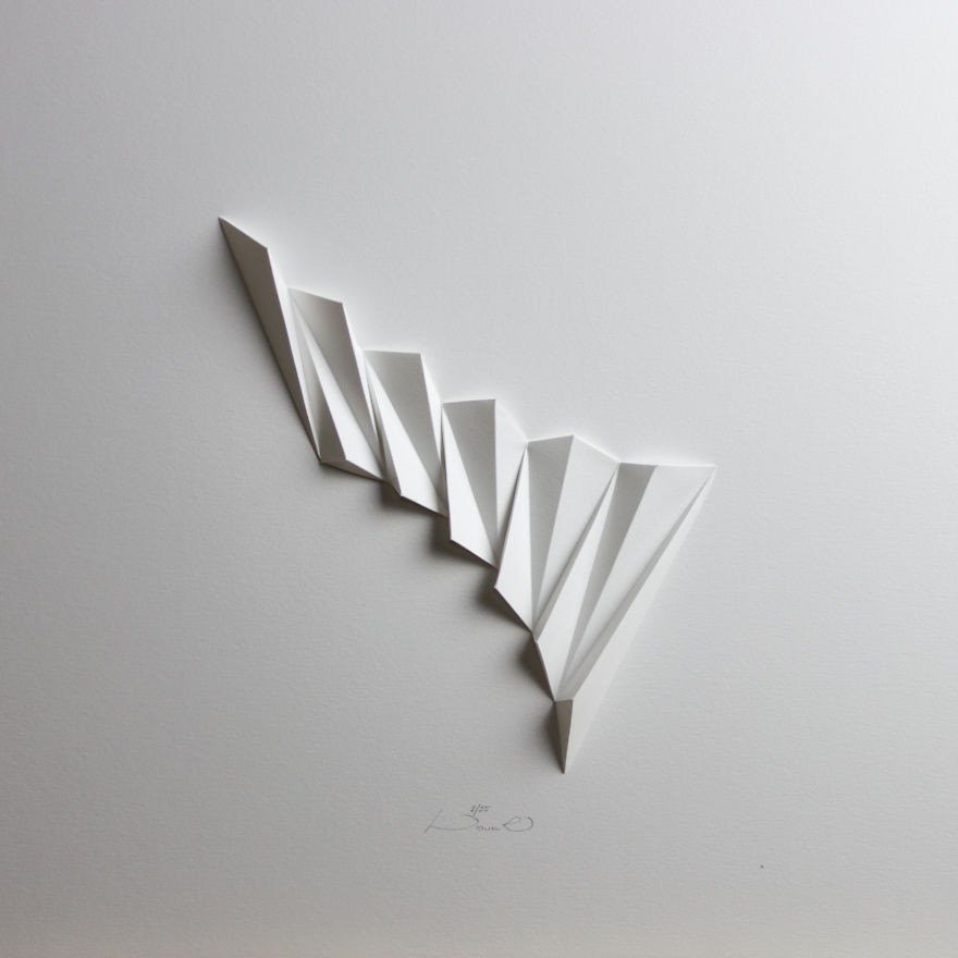 I Apply Design And Model Making Skills To Create Bionic Paper Reliefs I Apply Design And Model Making Skills To Create Bionic Paper Reliefs