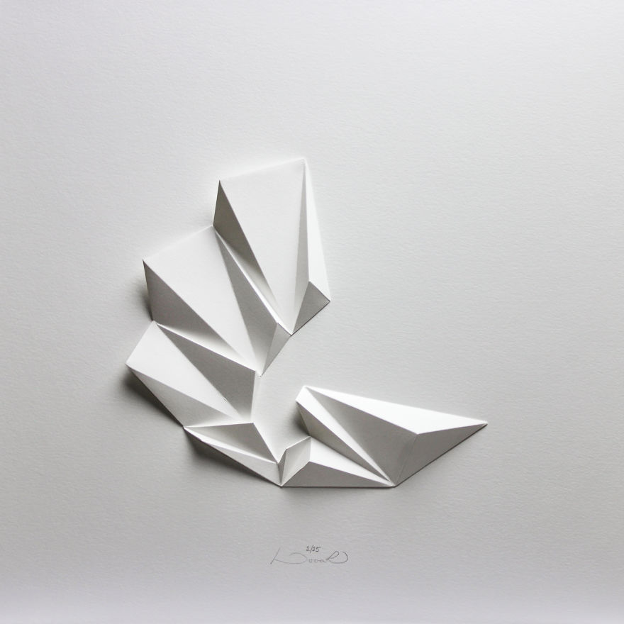 I Apply Design And Model Making Skills To Create Bionic Paper Reliefs I Apply Design And Model Making Skills To Create Bionic Paper Reliefs