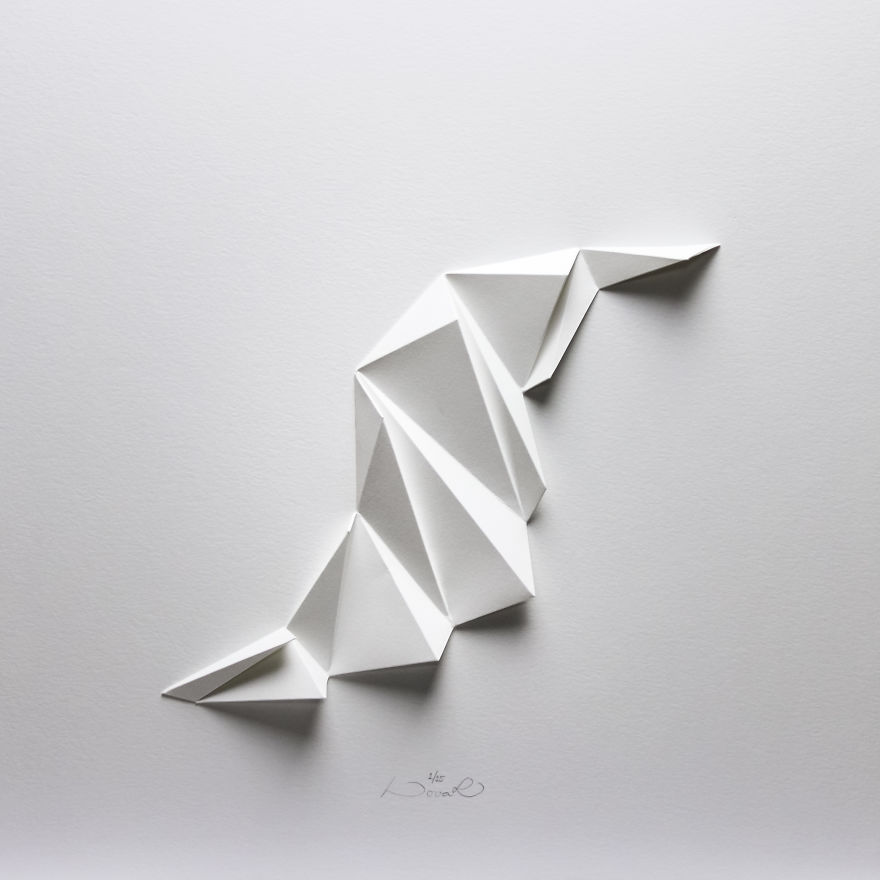 I Apply Design And Model Making Skills To Create Bionic Paper Reliefs I Apply Design And Model Making Skills To Create Bionic Paper Reliefs