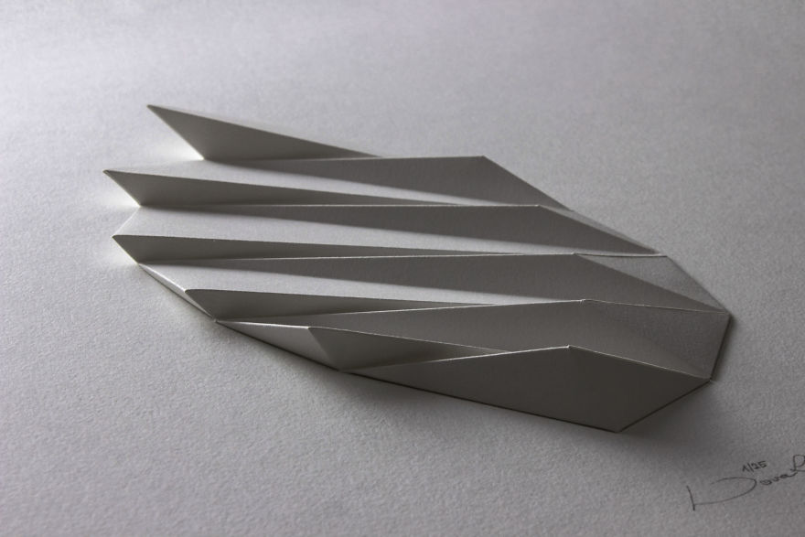 I Apply Design And Model Making Skills To Create Bionic Paper Reliefs I Apply Design And Model Making Skills To Create Bionic Paper Reliefs