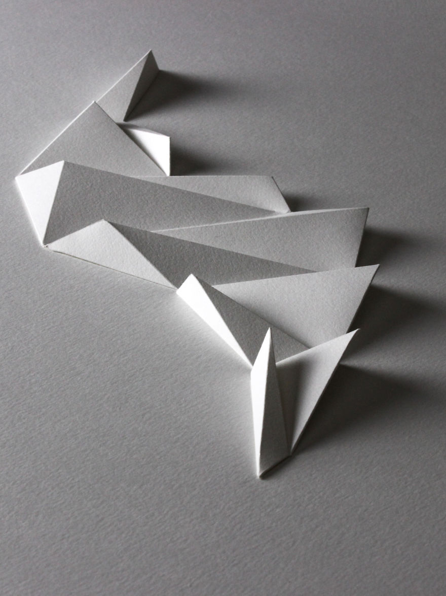 I Apply Design And Model Making Skills To Create Bionic Paper Reliefs I Apply Design And Model Making Skills To Create Bionic Paper Reliefs