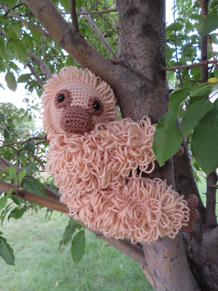Bosco The Yarn Sloth Is Taking The World By Storm And You Can Add To His Journey Bosco The Yarn Sloth Is Taking The World By Storm And You Can Add To His Journey
