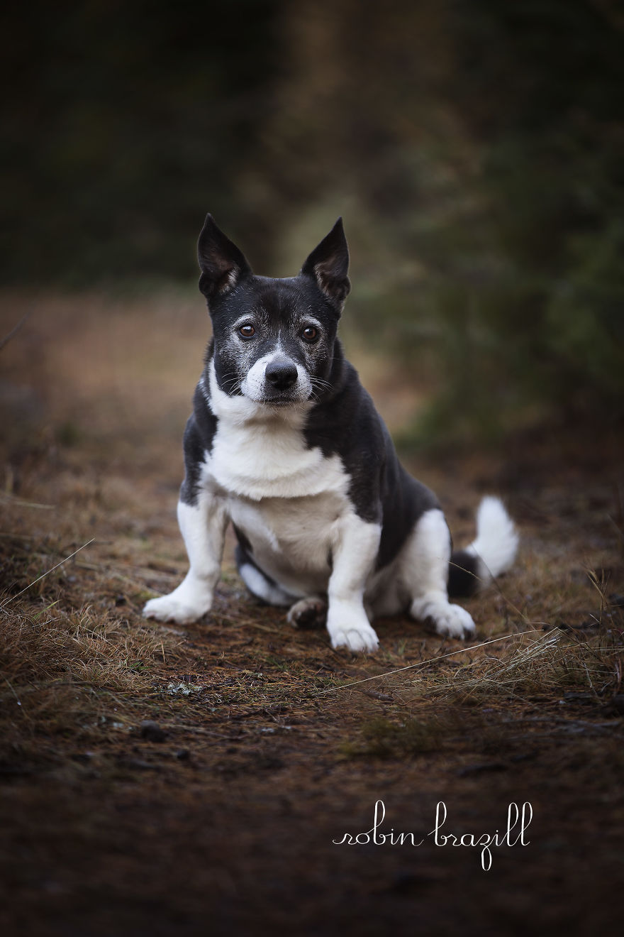 The Day We Met The Real Santa Claus The Day We Met The Real Santa Claus