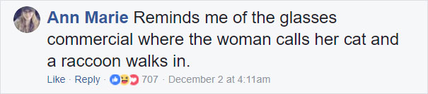 Grandma Thinks She’s Been Taking Care Of Three Kittens Until Her Grandson Notices One Of Them Is Not A Kitten At All Grandma Thinks She’s Been Taking Care Of Three Kittens Until Her Grandson Notices One Of Them Is Not A Kitten At All
