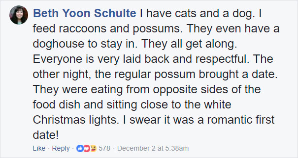 Grandma Thinks She’s Been Taking Care Of Three Kittens Until Her Grandson Notices One Of Them Is Not A Kitten At All Grandma Thinks She’s Been Taking Care Of Three Kittens Until Her Grandson Notices One Of Them Is Not A Kitten At All