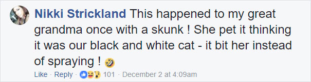 Grandma Thinks She’s Been Taking Care Of Three Kittens Until Her Grandson Notices One Of Them Is Not A Kitten At All Grandma Thinks She’s Been Taking Care Of Three Kittens Until Her Grandson Notices One Of Them Is Not A Kitten At All
