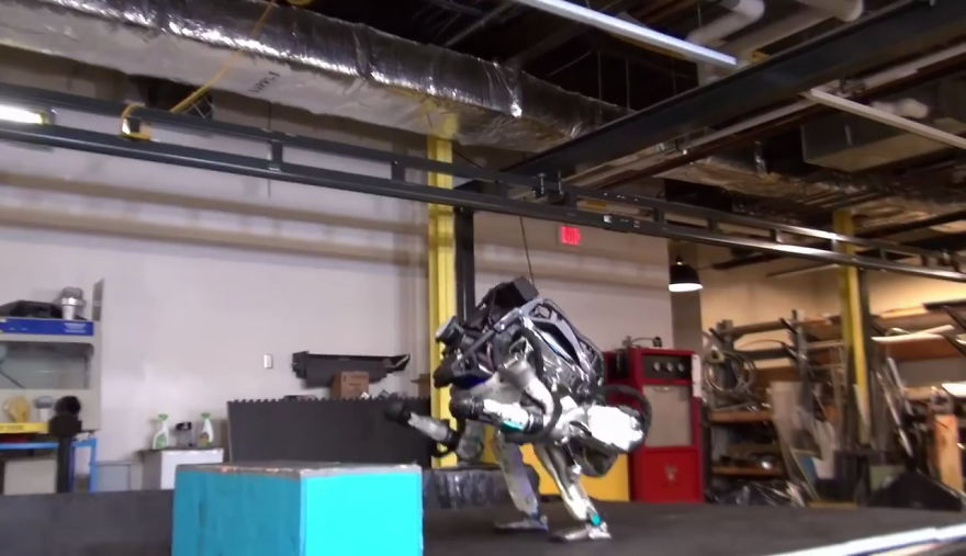 This Robot Pulled Off An Impossible Backflip And The Internet Goes Nuts, Predicting The Rise Of Terminators This Robot Pulled Off An Impossible Backflip And The Internet Goes Nuts, Predicting The Rise Of Terminators