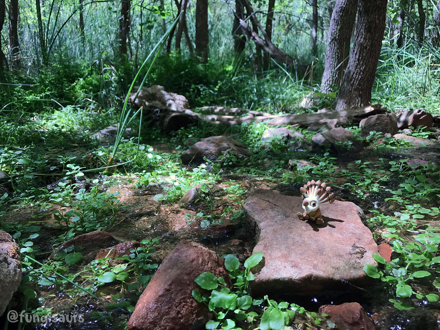 These Dinosaur-Mushroom Toys Have Traveled More Than Most People These Dinosaur-Mushroom Toys Have Traveled More Than Most People
