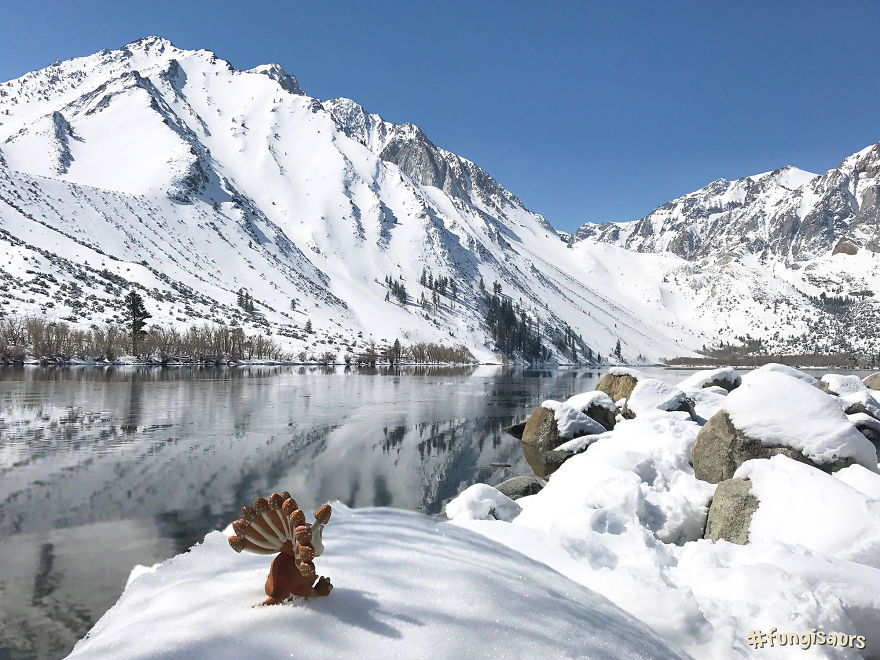 These Dinosaur-Mushroom Toys Have Traveled More Than Most People These Dinosaur-Mushroom Toys Have Traveled More Than Most People