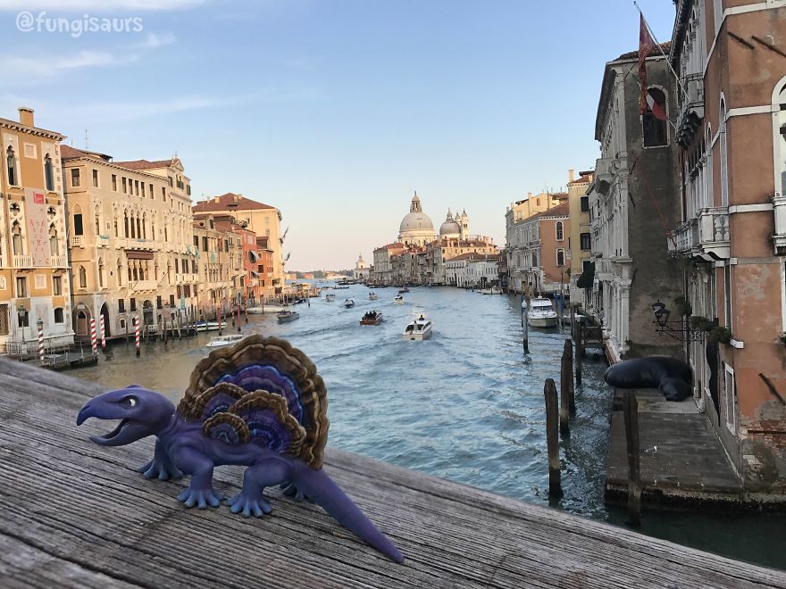 These Dinosaur-Mushroom Toys Have Traveled More Than Most People These Dinosaur-Mushroom Toys Have Traveled More Than Most People