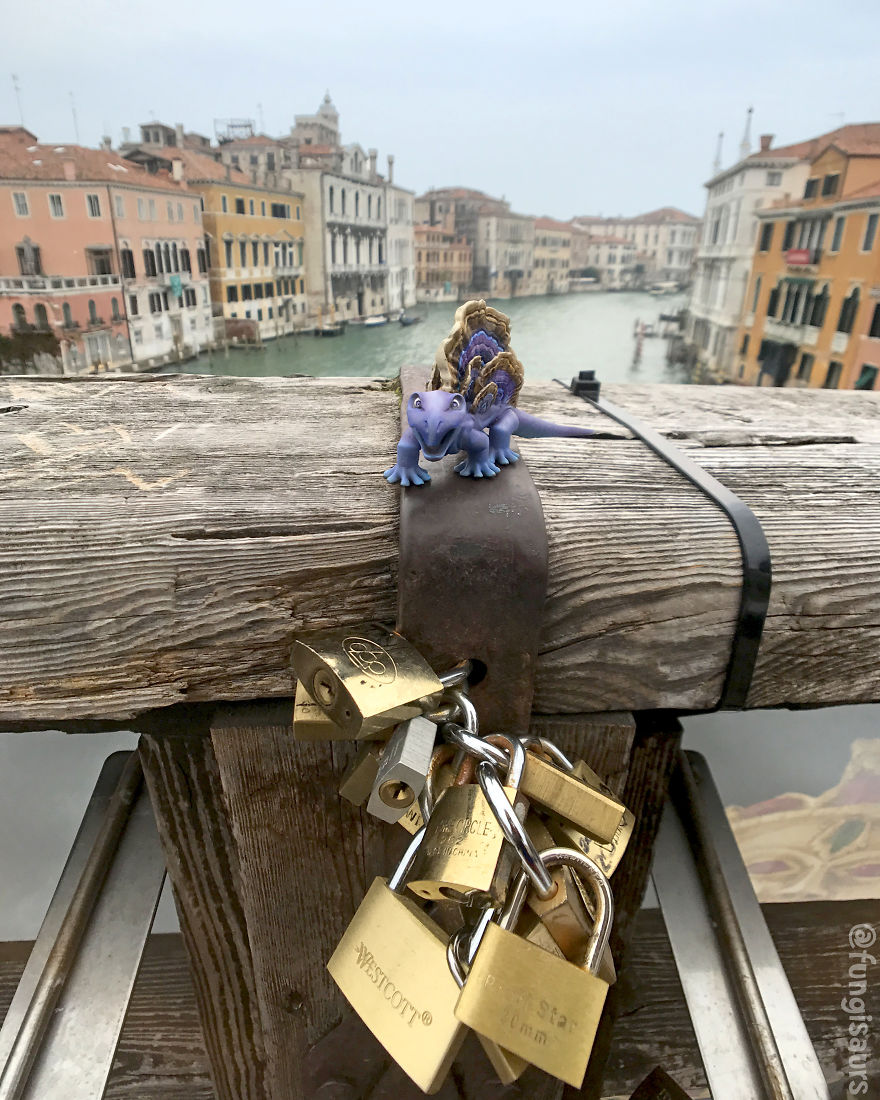 These Dinosaur-Mushroom Toys Have Traveled More Than Most People These Dinosaur-Mushroom Toys Have Traveled More Than Most People