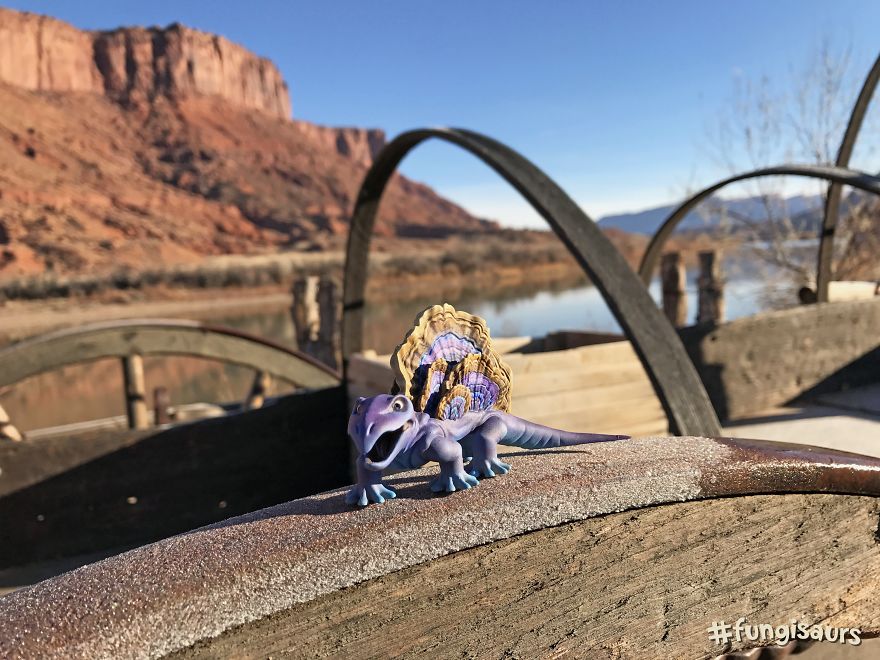These Dinosaur-Mushroom Toys Have Traveled More Than Most People These Dinosaur-Mushroom Toys Have Traveled More Than Most People