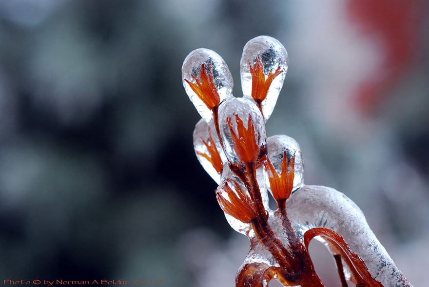 30 Beautiful Ice And Snow Formations That Look Like Art