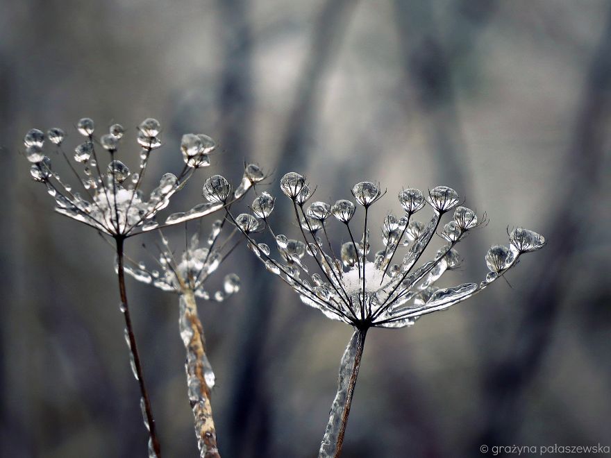30 Beautiful Ice And Snow Formations That Look Like Art