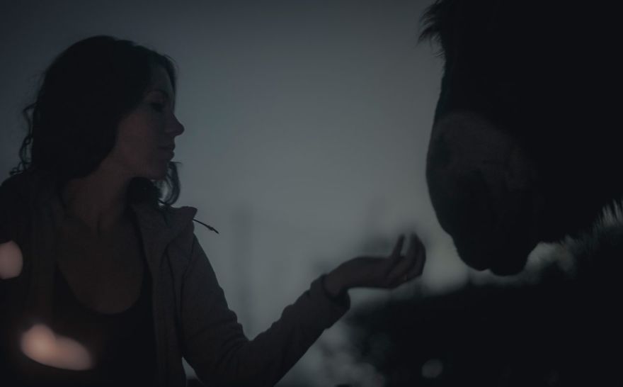 We Bought A Donkey And Took Him On A Road Trip