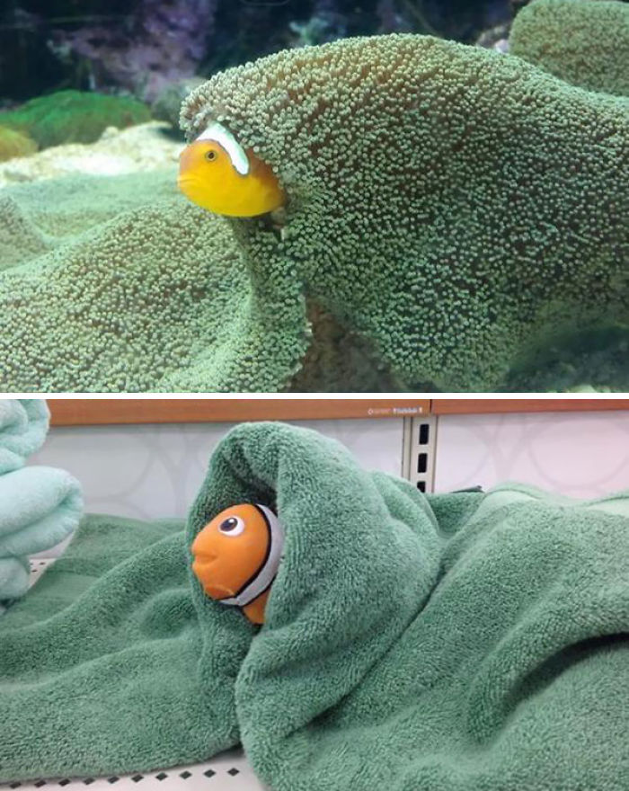 225 Hilarious Boyfriends And Husbands Who Make Sure That Their Relationship Is Never Boring 225 Hilarious Boyfriends And Husbands Who Make Sure That Their Relationship Is Never Boring