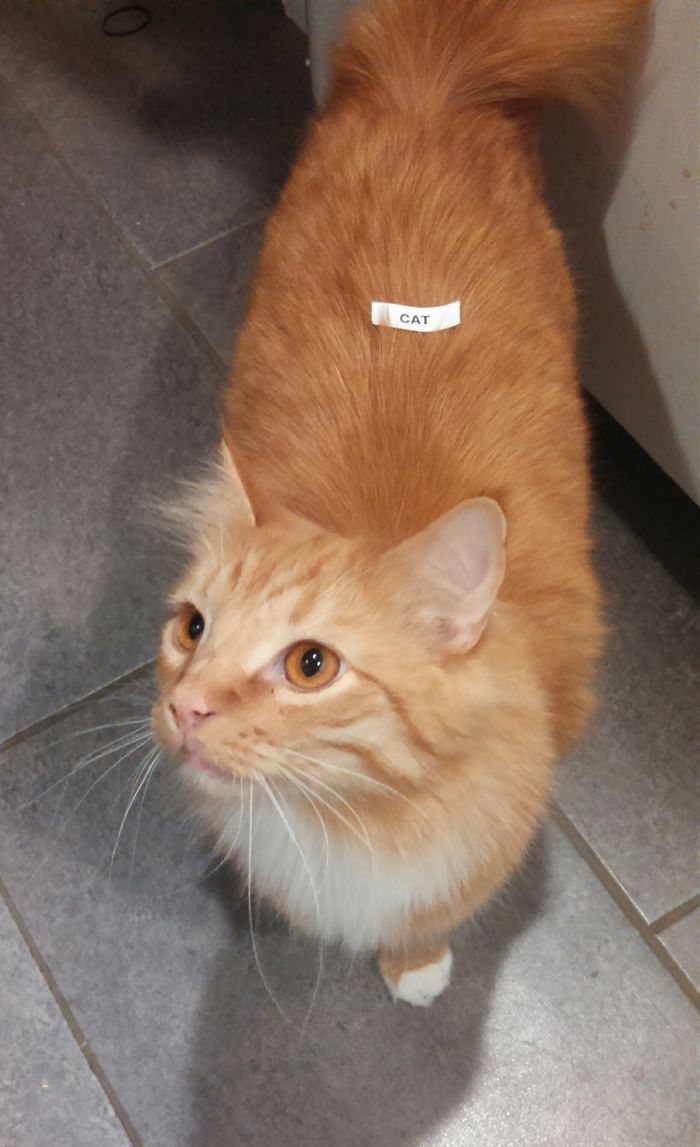 225 Hilarious Boyfriends And Husbands Who Make Sure That Their Relationship Is Never Boring 225 Hilarious Boyfriends And Husbands Who Make Sure That Their Relationship Is Never Boring