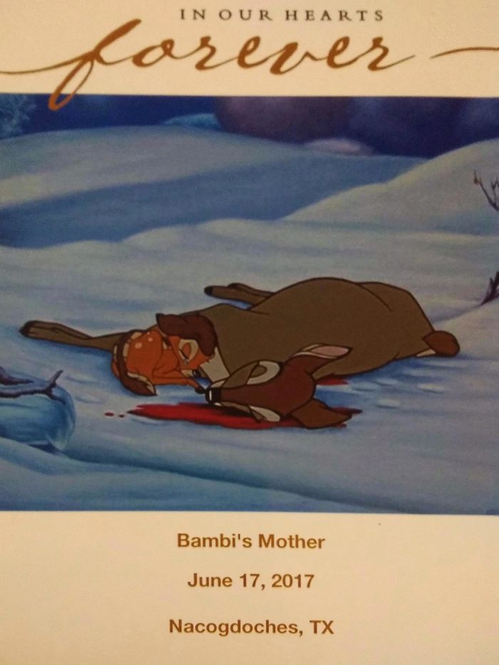 225 Hilarious Boyfriends And Husbands Who Make Sure That Their Relationship Is Never Boring 225 Hilarious Boyfriends And Husbands Who Make Sure That Their Relationship Is Never Boring