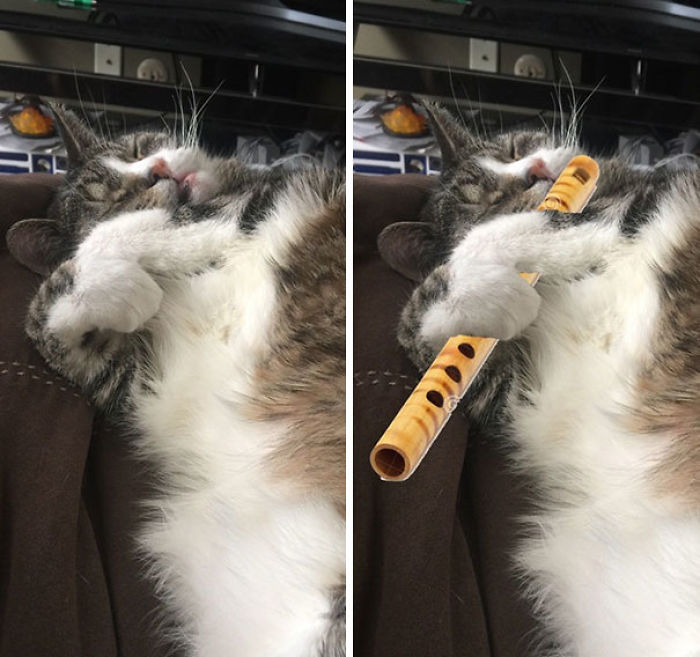 225 Hilarious Boyfriends And Husbands Who Make Sure That Their Relationship Is Never Boring 225 Hilarious Boyfriends And Husbands Who Make Sure That Their Relationship Is Never Boring