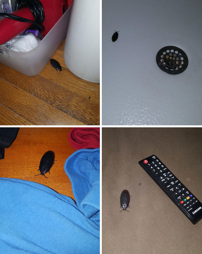 225 Hilarious Boyfriends And Husbands Who Make Sure That Their Relationship Is Never Boring 225 Hilarious Boyfriends And Husbands Who Make Sure That Their Relationship Is Never Boring