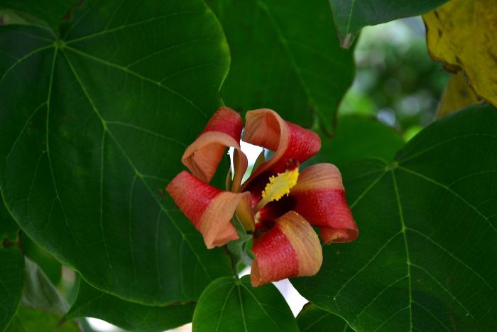 84 Times Things Looked Like Food, But You&#8217;d Probably Seriously Regret Eating Any Of It