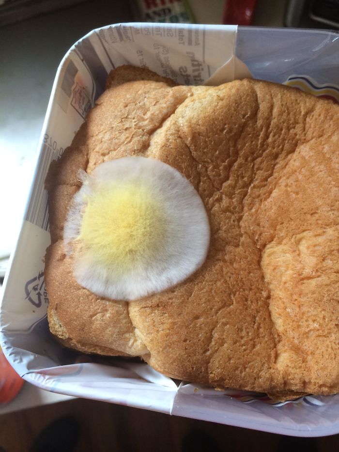 84 Times Things Looked Like Food, But You&#8217;d Probably Seriously Regret Eating Any Of It